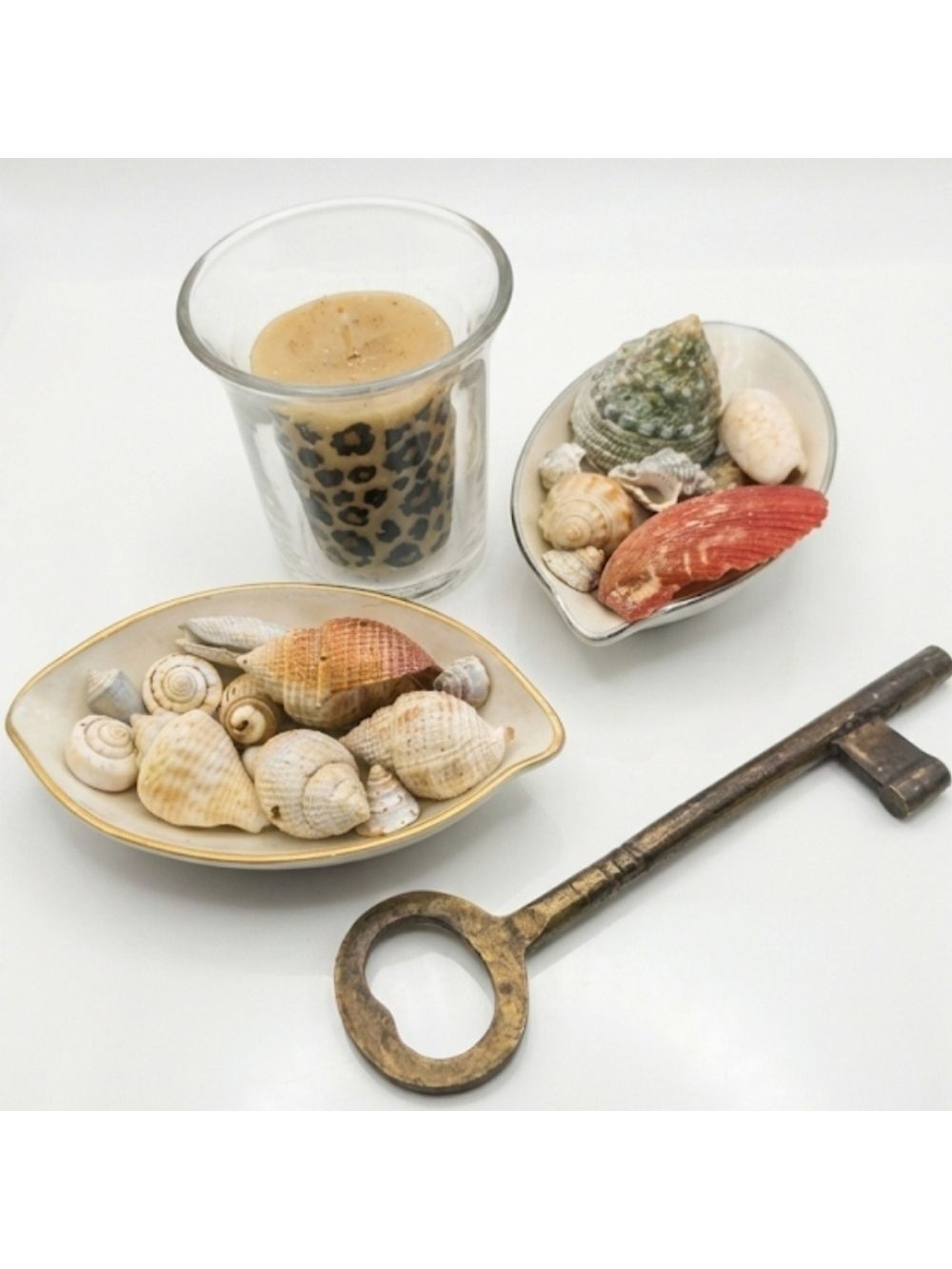 Leopard Print Candle Holder with Seashell Accents